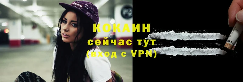 Cocaine Fish Scale  кракен ТОР  Каменка 