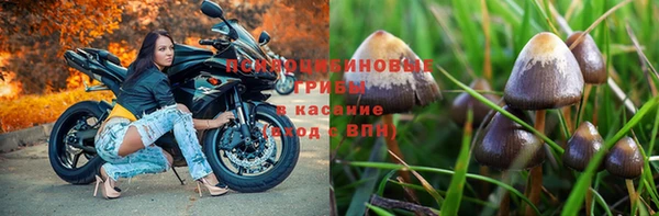 скорость mdpv Нефтекумск