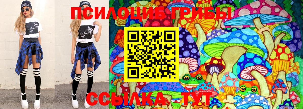 Галлюциногенные грибы GOLDEN TEACHER  Каменка  Псилоцибиновые грибы ЛСД 