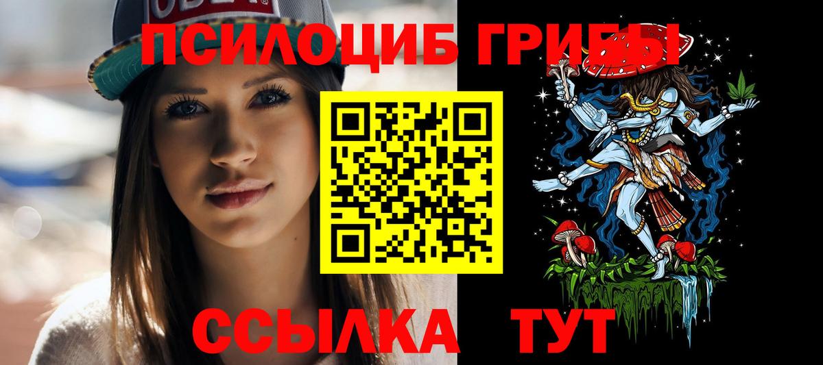 Псилоцибиновые грибы Psilocybe Каменка