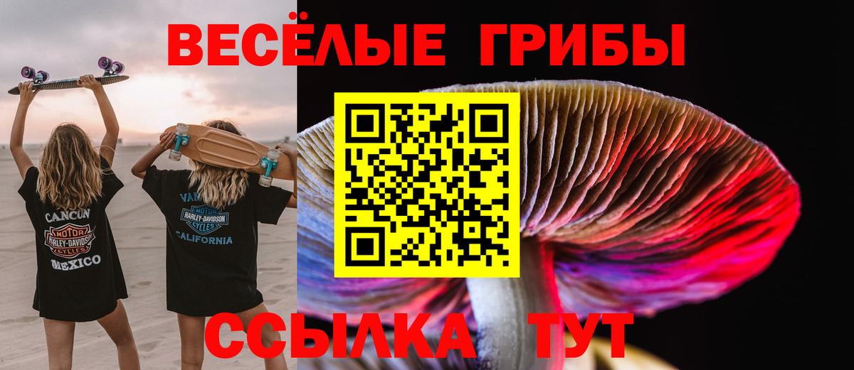 Каменка  Галлюциногенные грибы ЛСД  Вход с VPN 